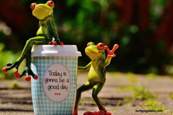 Productive Daily