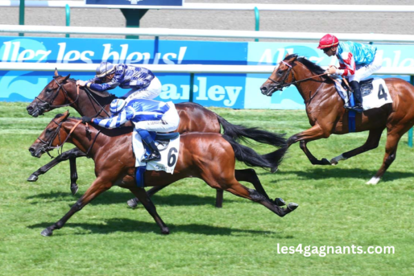 Jolie Turf Gagnant