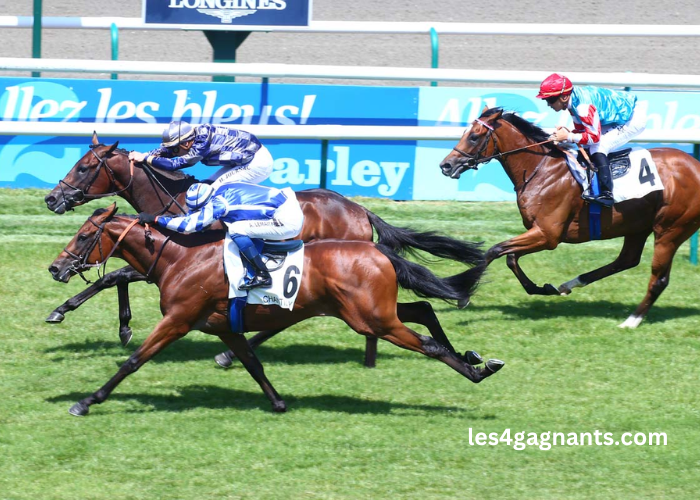 Jolie Turf Gagnant