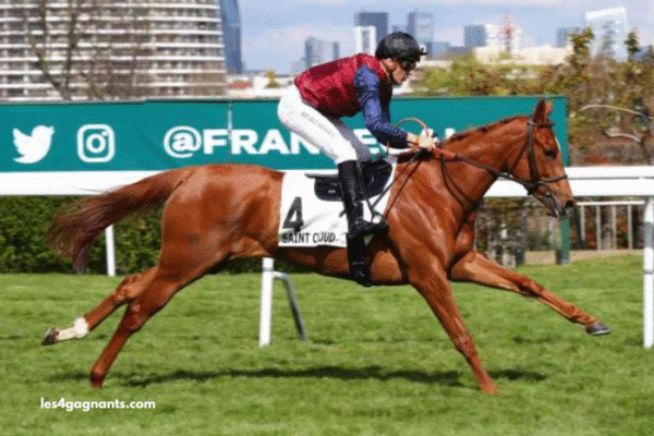 Lingodor Turf 2019 Lingodor Turf 2019