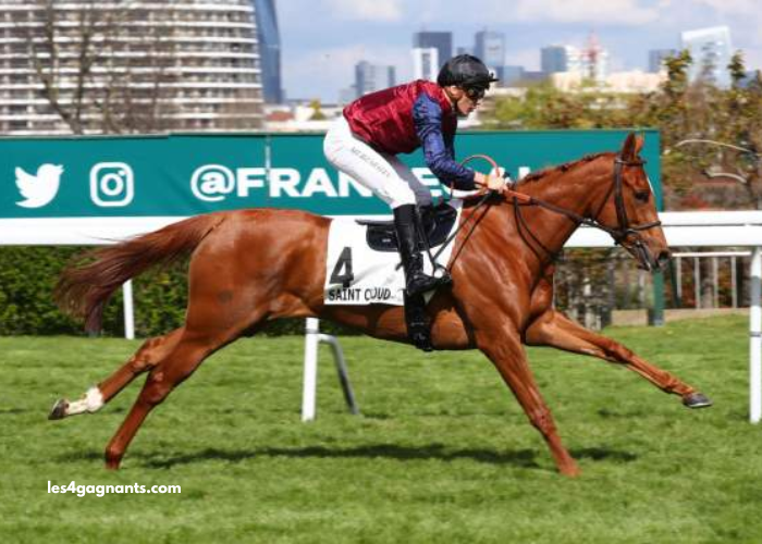 Lingodor Turf 2019