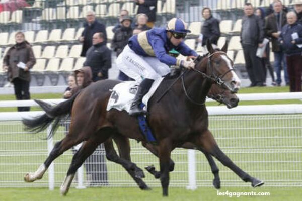 Paris Promise Turf Paris Promise Turf