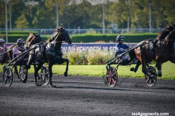 100 Ordre Turf