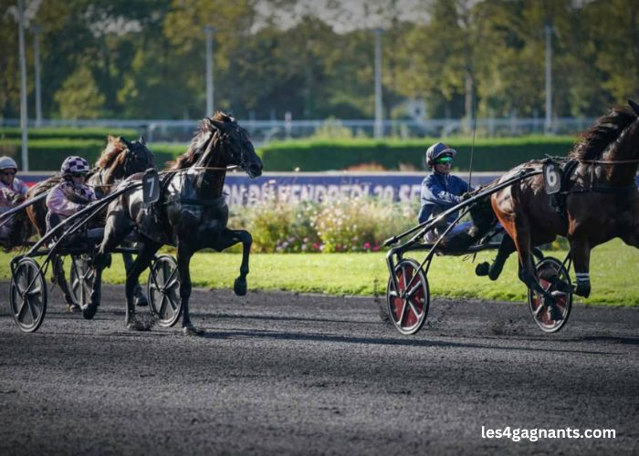 100 Ordre Turf