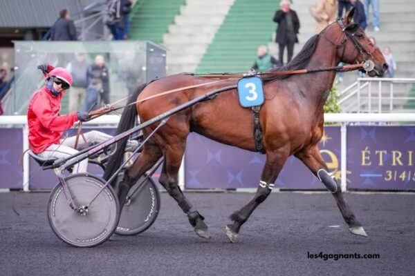 Blog DE Wolni