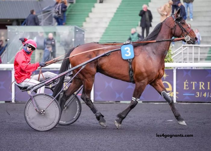 Blog DE Wolni