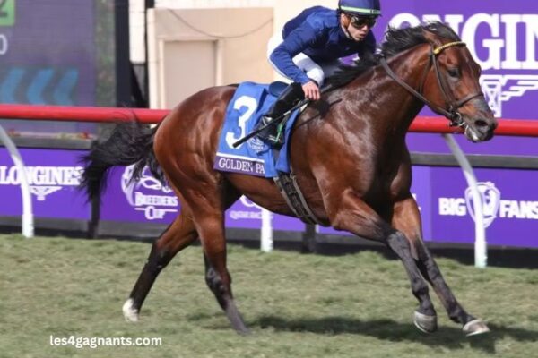 Heros Turf Vip