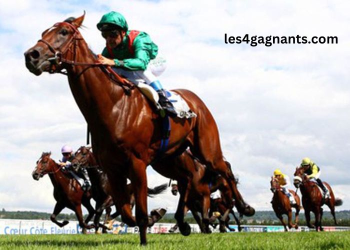 Le Roi Du Turf