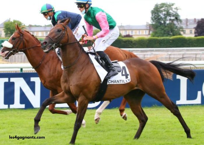 Le Roi Gagnant