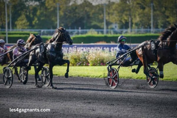 Les 3 Bases
