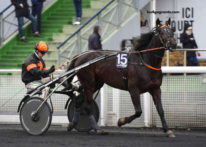 Lesduels Du Quinté