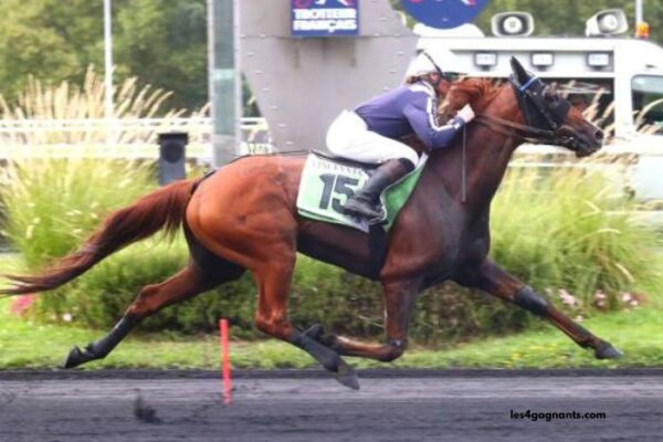 Nivard Guyon Turf