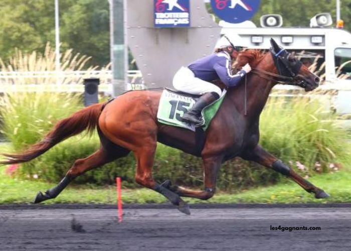 Nivard Guyon Turf