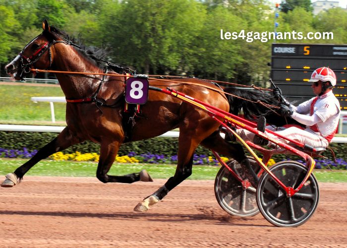 Programme Pmu Du Jour