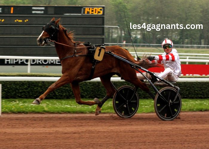 Prono Vérité Turf