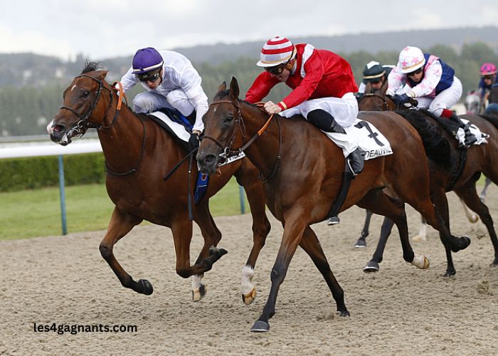 Pronostic Gratuit Turf