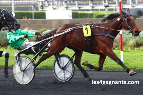 100 Turf Presse (1)