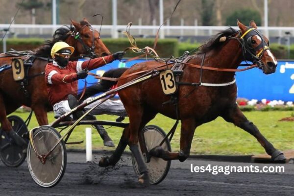 Les 3 Chevaux Incontournables