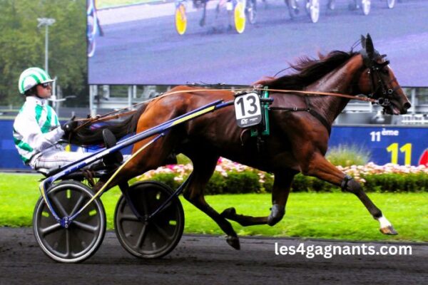 Turf Pronostic 7