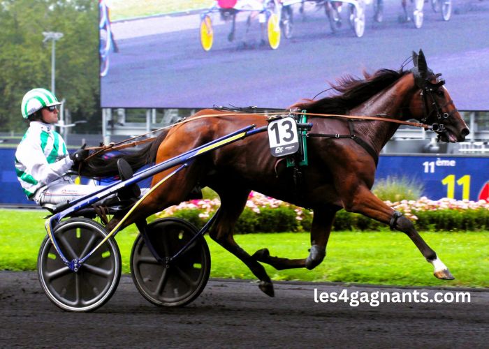 Turf Pronostic 7
